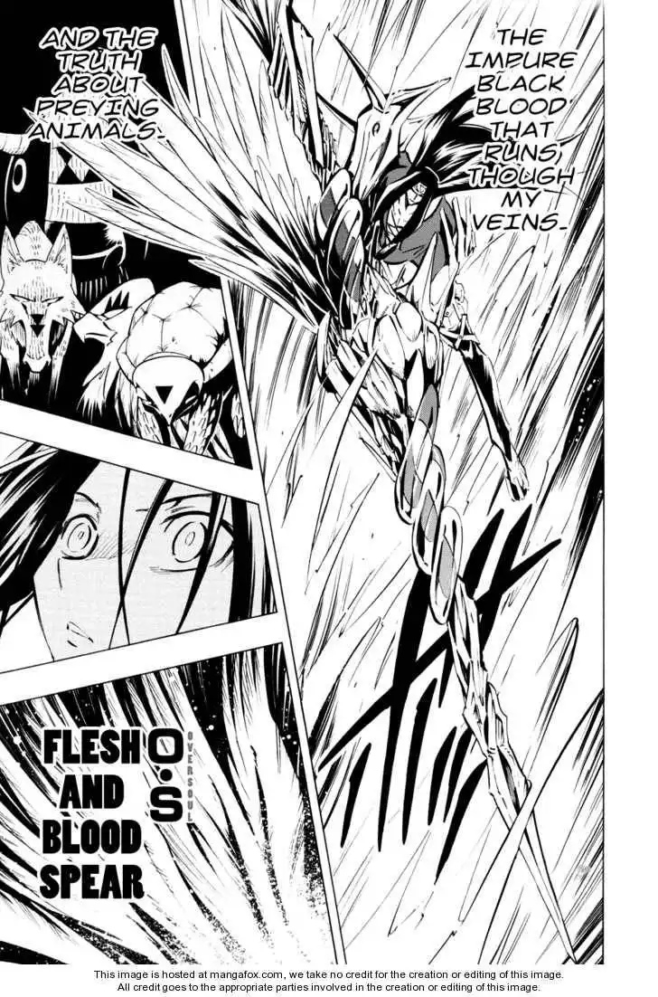 Shaman King Kang Zeng Bang Chapter 294 14